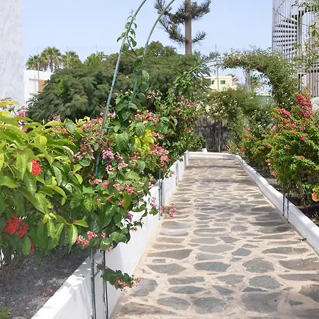 Alsol Orquideas * Playa del Ingles (Gran Canaria)