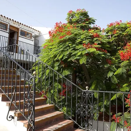 Διαμέρισμα Alsol Orquideas Πλάγια ντελ Ινγκλές