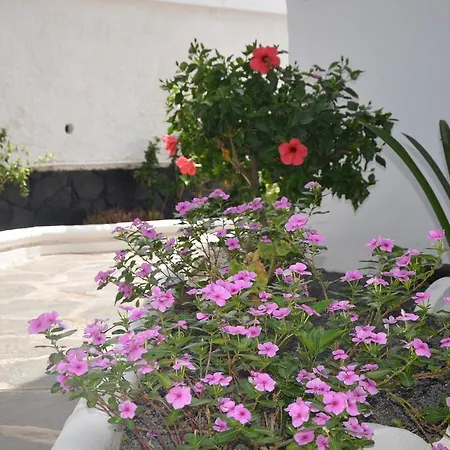 Alsol Orquideas Διαμέρισμα Πλάγια ντελ Ινγκλές