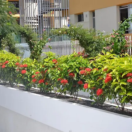 Διαμέρισμα Alsol Orquideas *