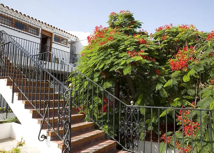 Apartment Alsol Orquideas Playa del Ingles (Gran Canaria)