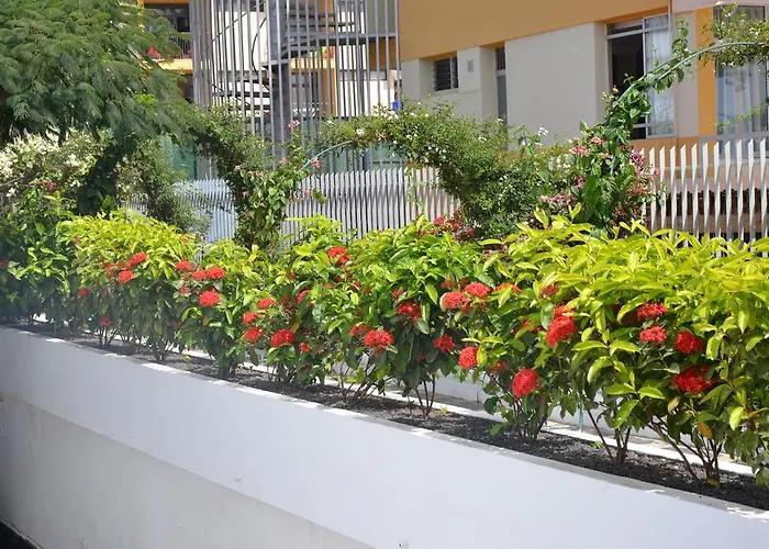 Apartment Alsol Orquideas *