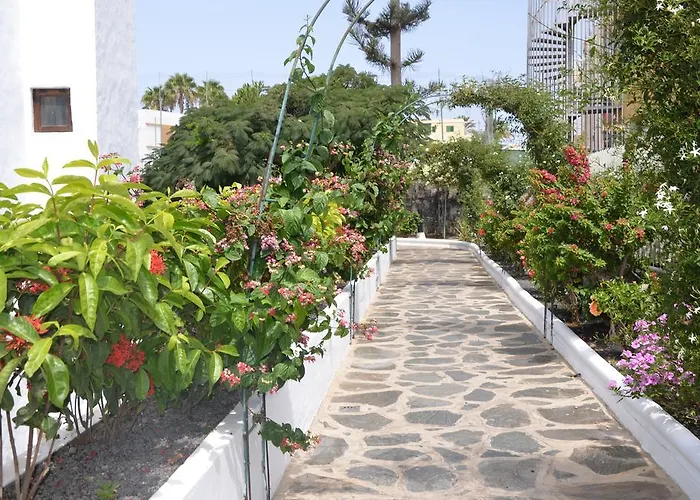 Alsol Orquideas * Playa del Ingles (Gran Canaria)