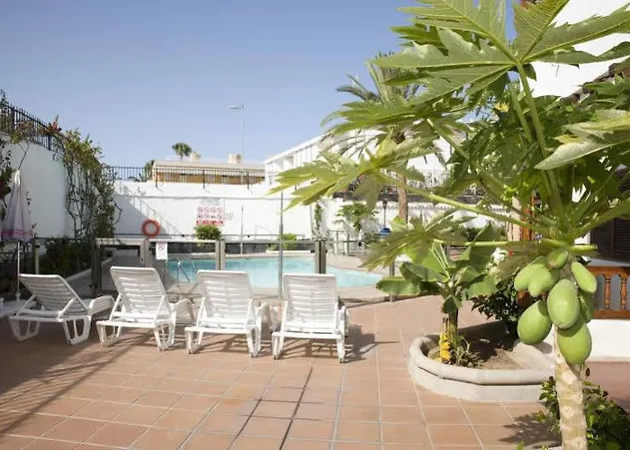 Alsol Orquideas * Playa del Ingles (Gran Canaria)